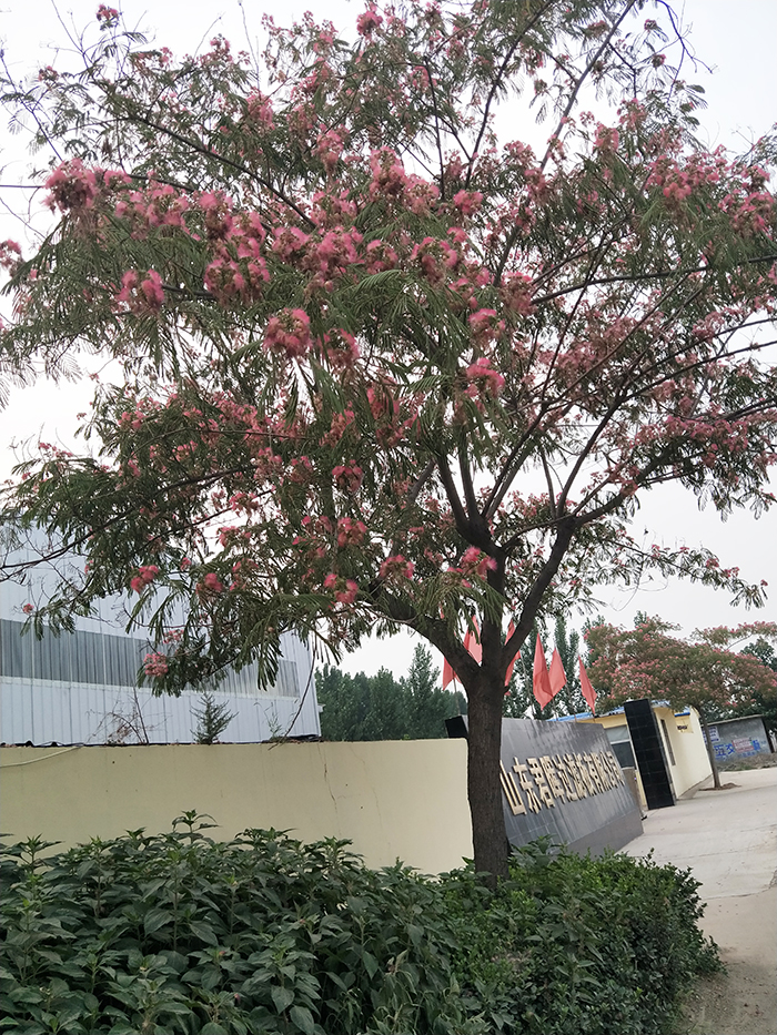 山東君暉過濾板